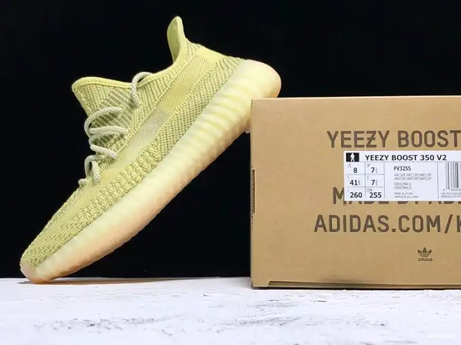 Reflective Adidas V2 Antlia 350 Yeezys FV3255 0615